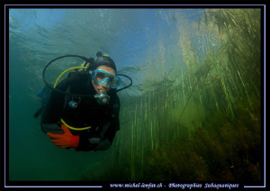 Lake diving... :O)... by Michel Lonfat 